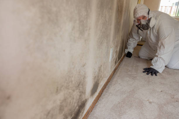 Mold Documentation for Insurance Claims in Sugarcreek, OH