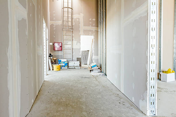 Best Attic Mold Removal  in Sugarcreek, OH